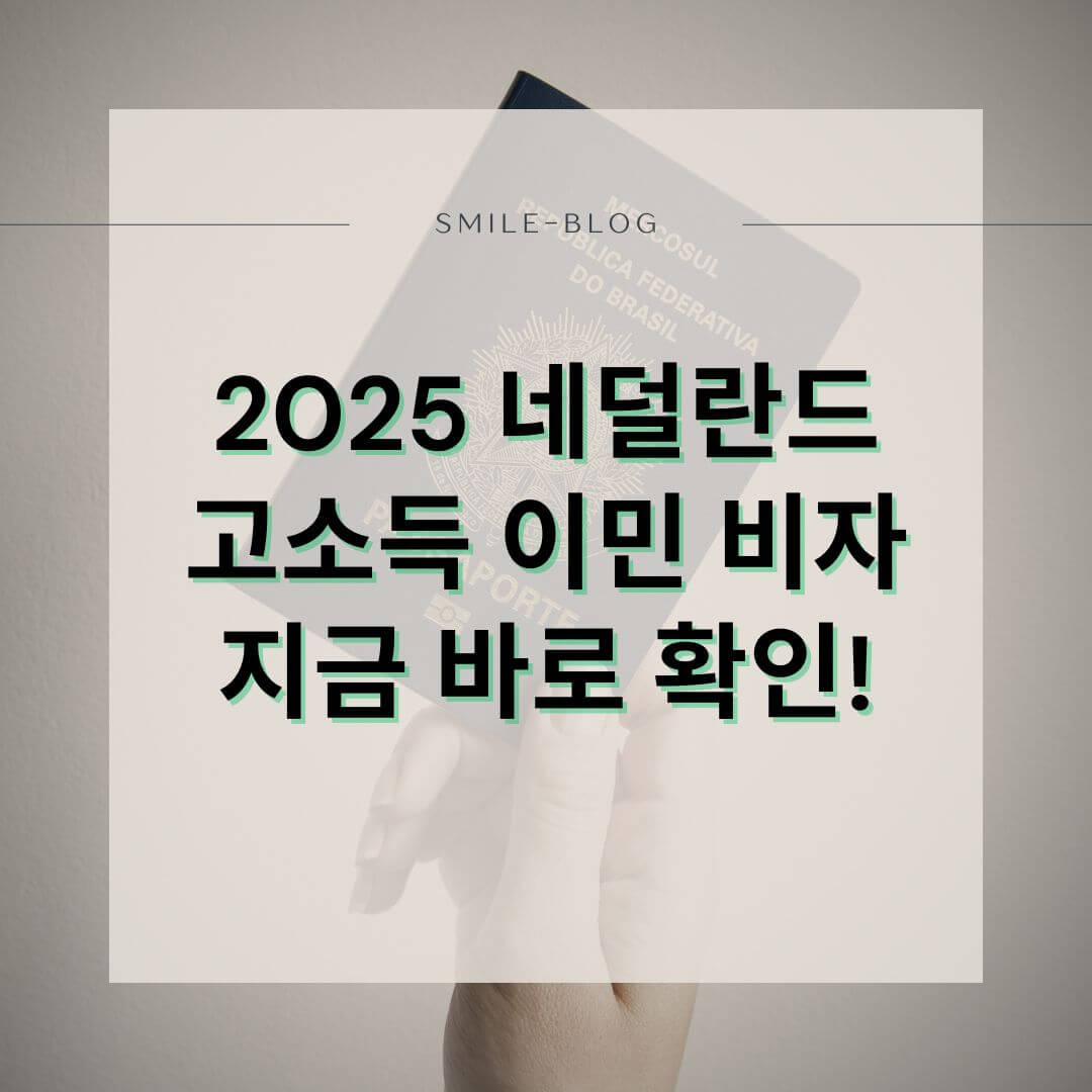 2025 네덜란드 취업비자 신청 방법 완전 정리 – 고소득 이민 제도부터 자격 조건까지!