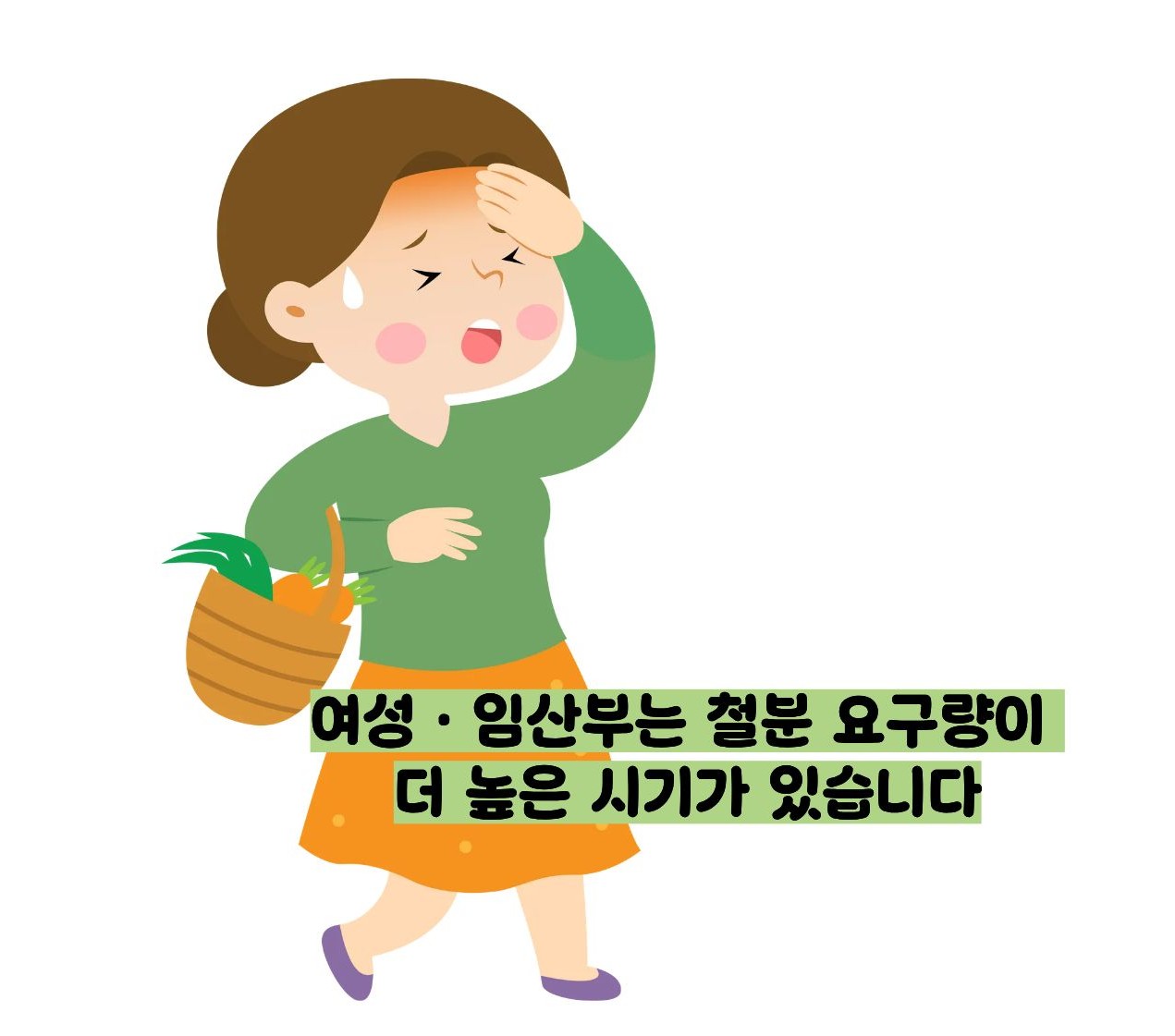 철분제 효능