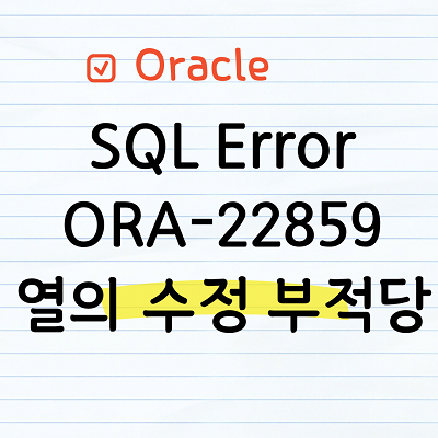 ORA-22859 오류