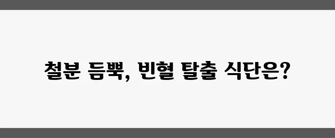 빈혈에 좋은 음식 (철분 보충에 효과적인 식단 TOP7)