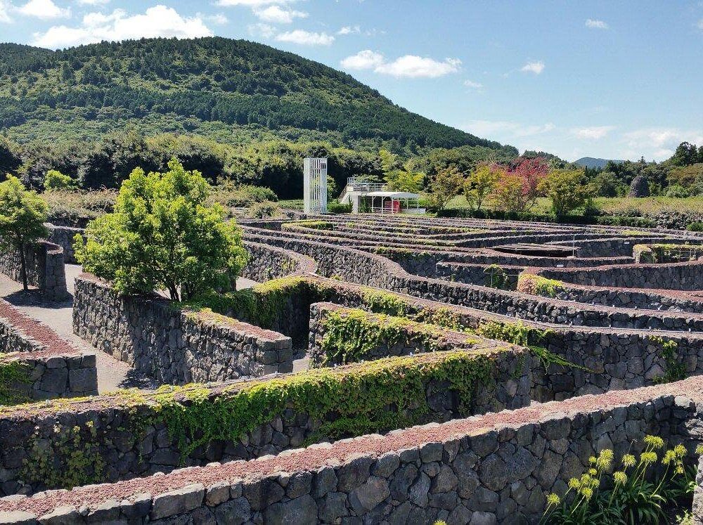 제주도 박물관 추천 (위치&amp;#44; 이용시간&amp;#44; 예매방법)