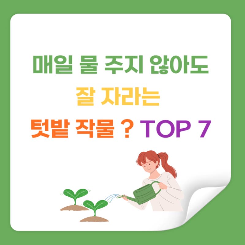**매일 물 주지 않아도 잘 자라는 작물 TOP 7**과
수분 관리 꿀팁까지 함께 소개