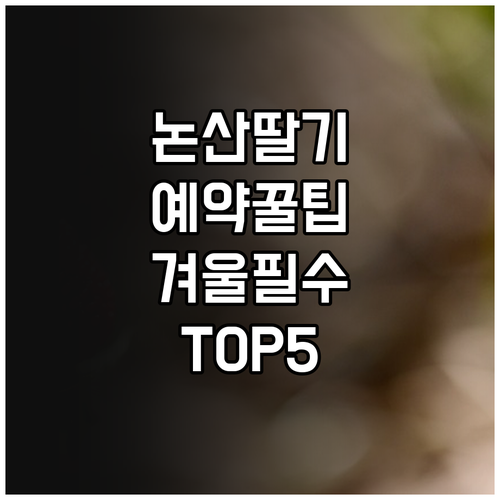 논산 딸기 체험 예약 방법과 겨울철 ..