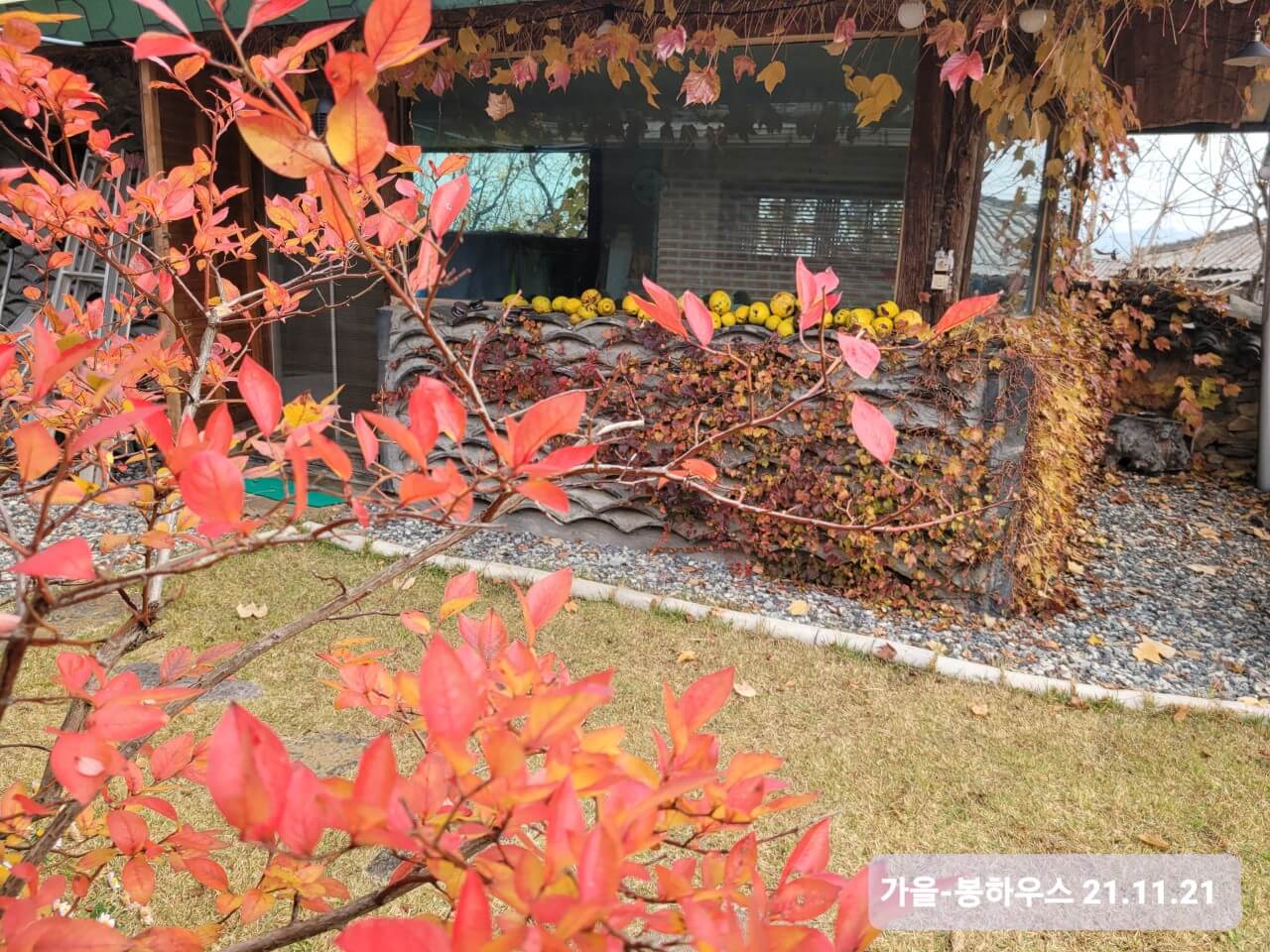 오늘N 나의 귀촌 일기 전남 나주 한옥 독채 숙소 촌캉스 봉하우스