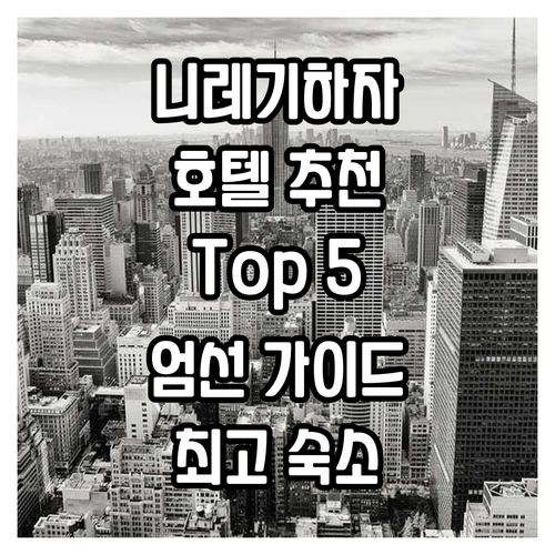 니레기하자 호텔 추천 가이드: 최고의..