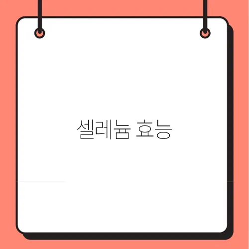 셀레늄 효능