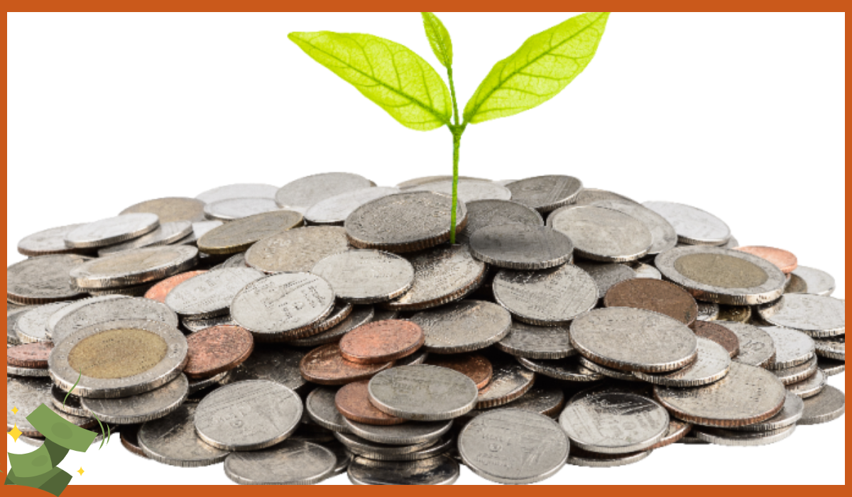 K패스 교통카드