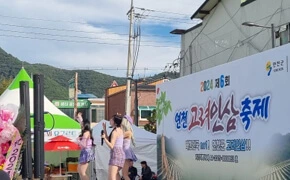 연천 고려인삼축제