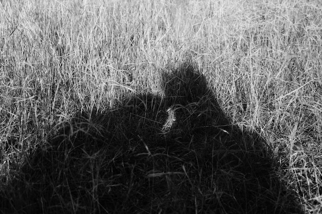 Withholding