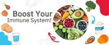 Best Foods for Boosting Immune System