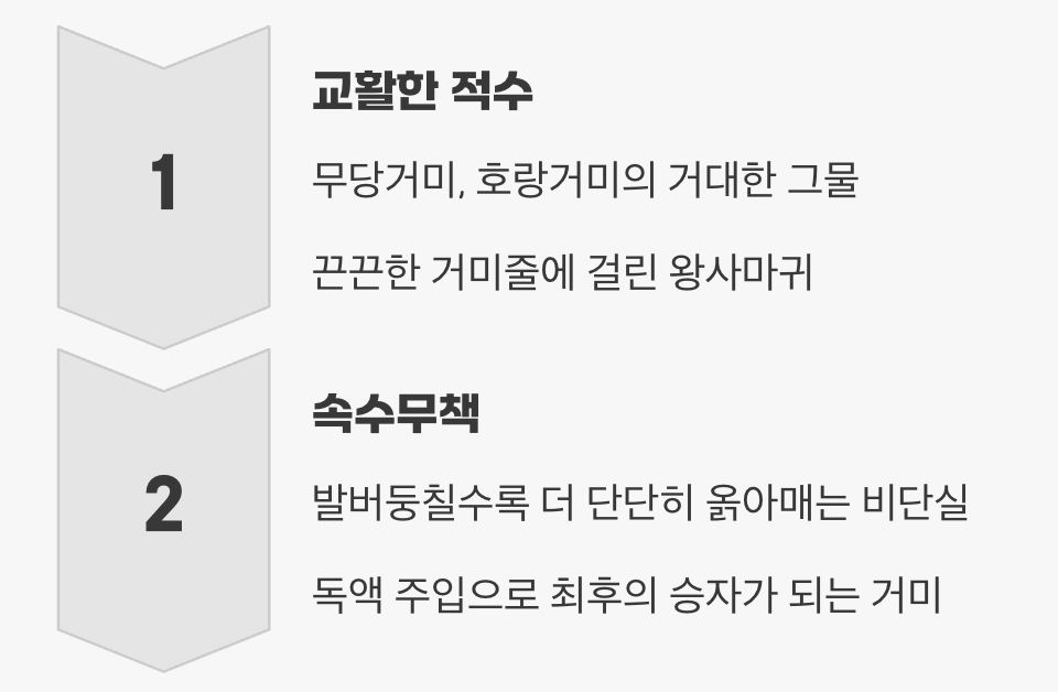 보이지 않는 함정, 거미