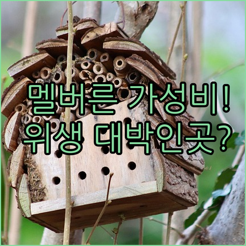 멜버른 가성비 호텔 1인실 후기 분석..