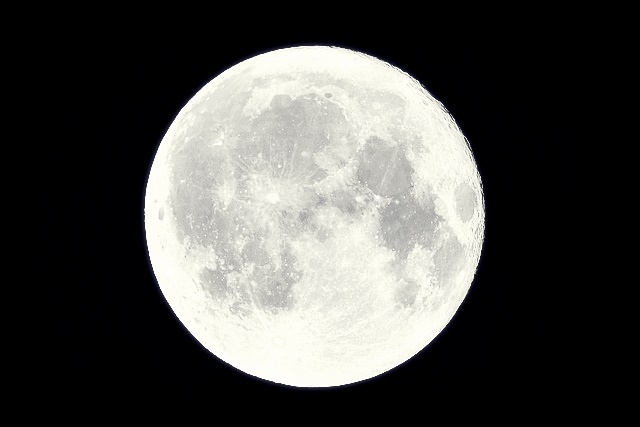 실시간 교통정보