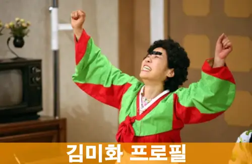 김미화프로필