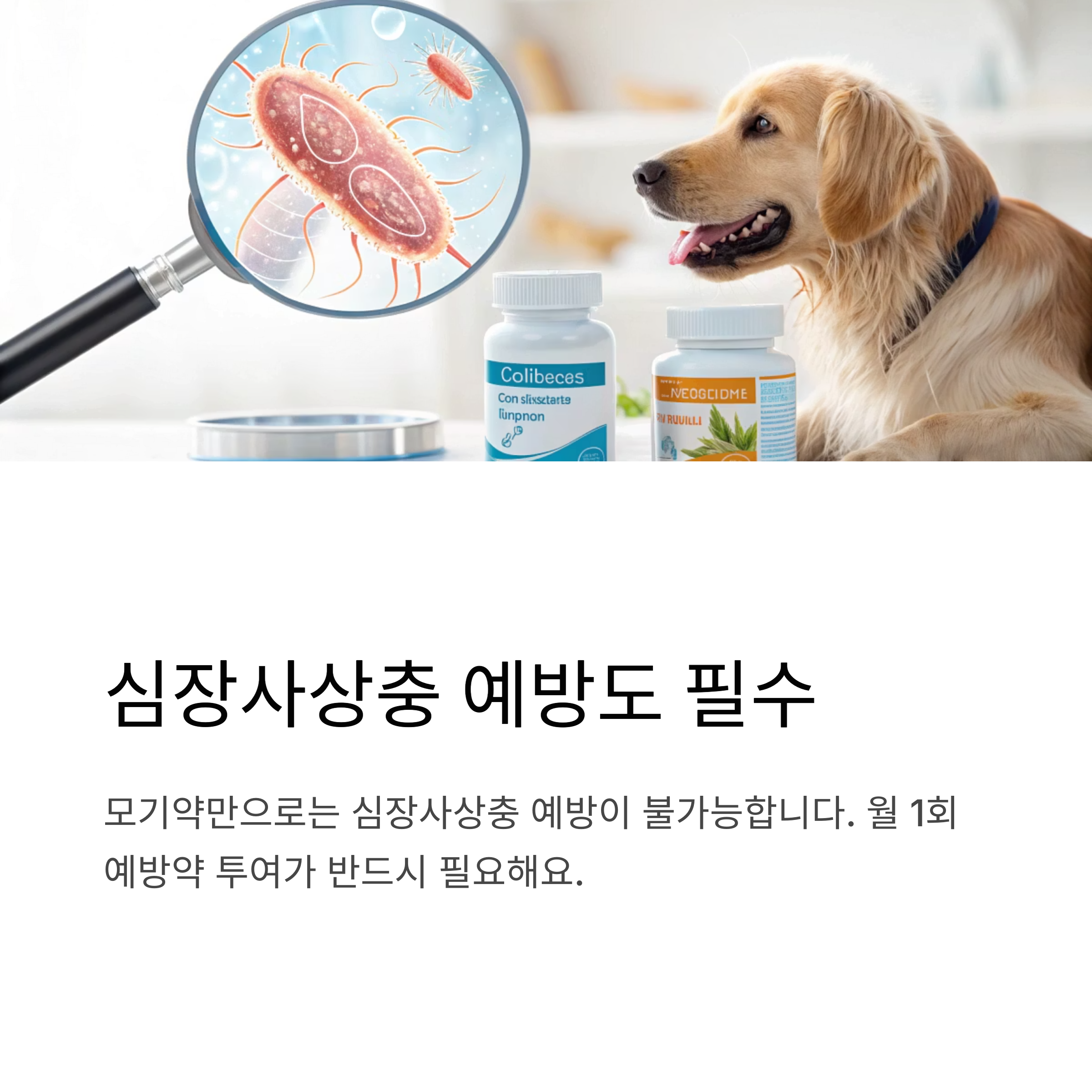 심장사상충 예방도 필수