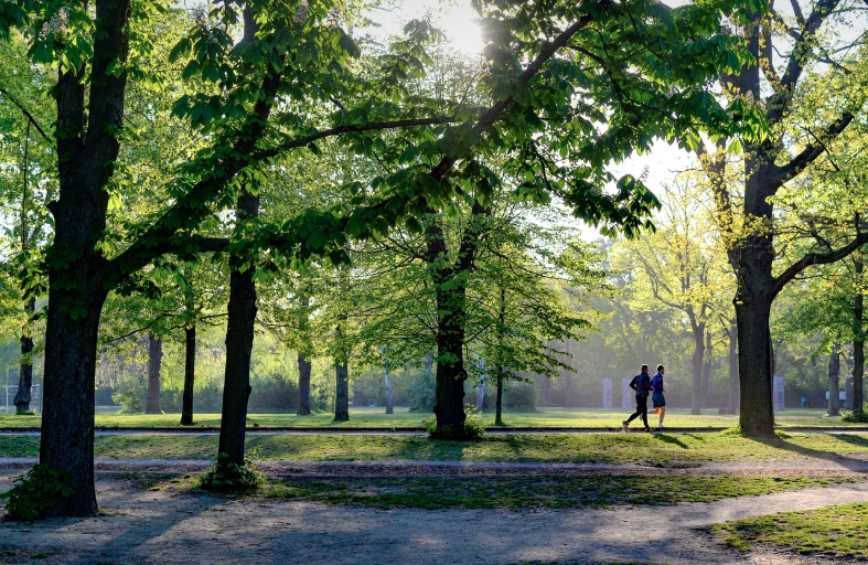 조깅하는 사람 사진