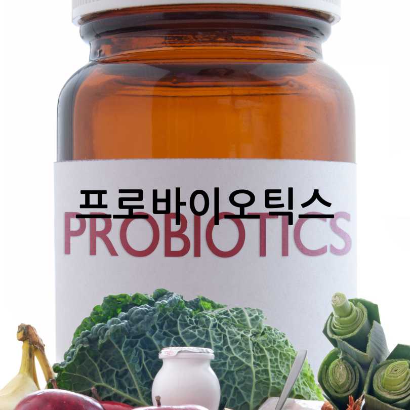 신장에좋은영양제