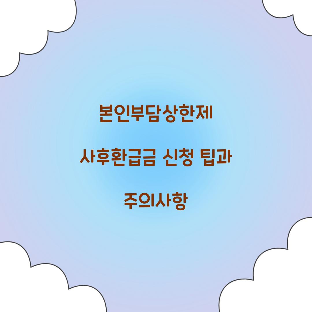 본인부담상한제 사후환급금