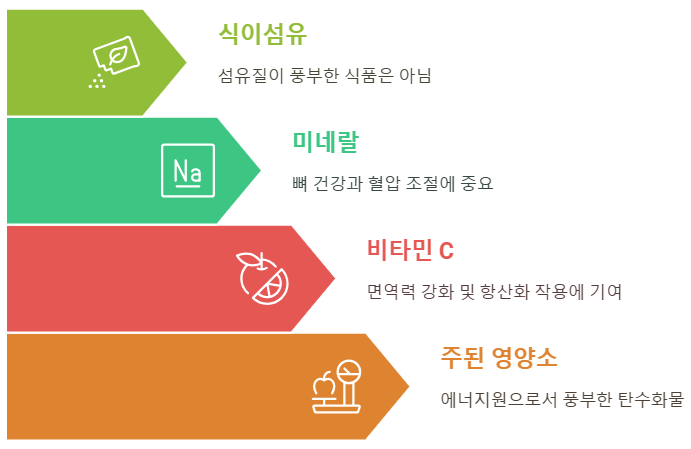 카사바 영양성분