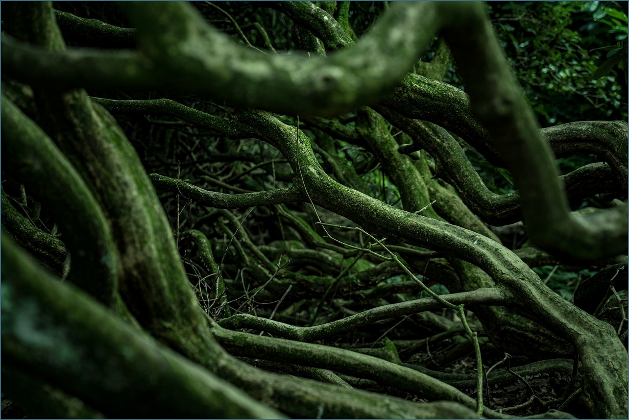 건강보험 상한제 사후환급금