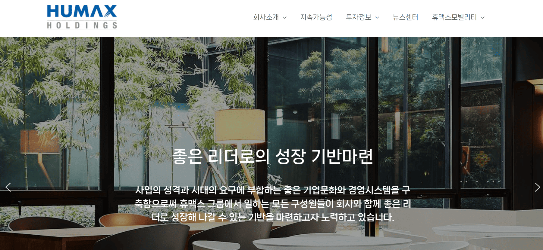 홍준표 관련 주식