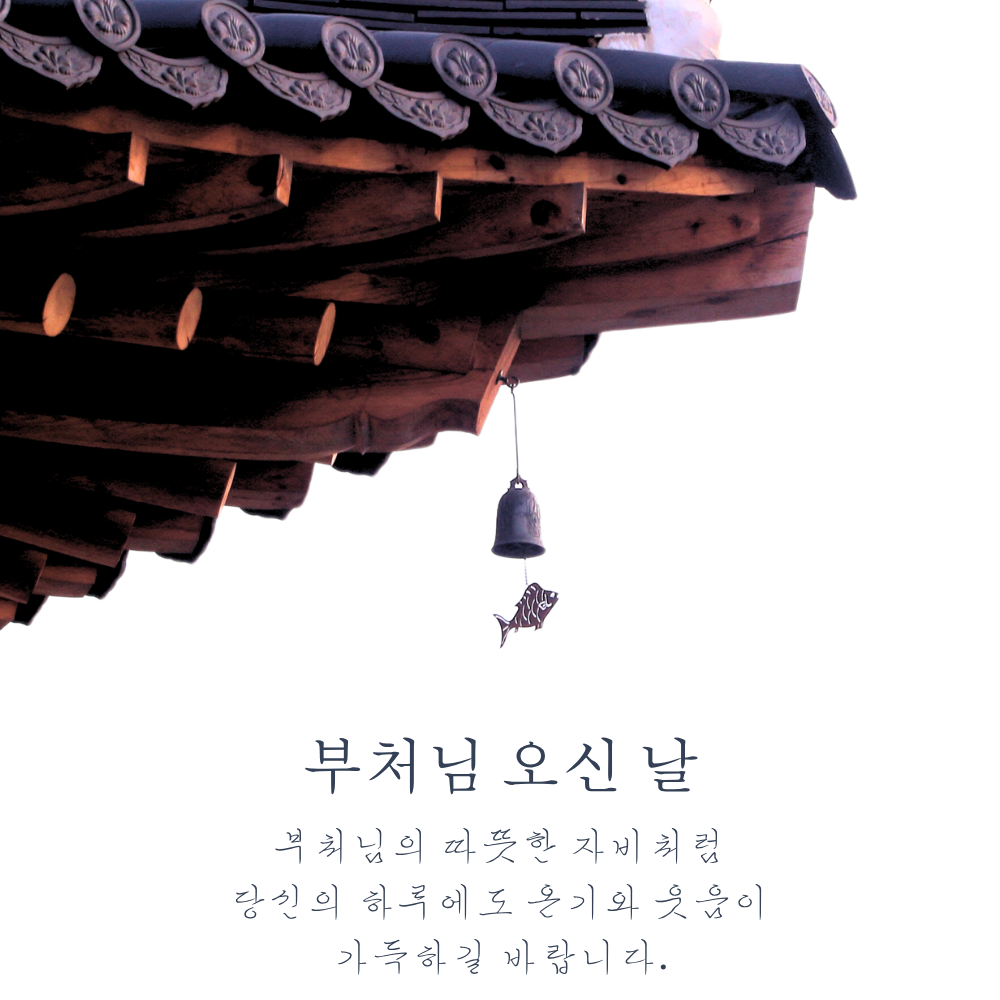 부처님 오신날 인사말 문구 이미지 모음집 석가탄신일 사진 그림