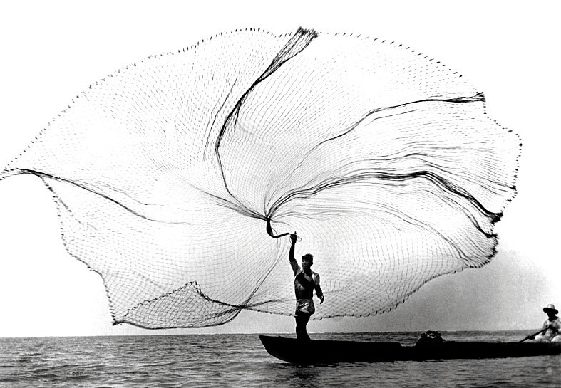Sea peacock by Leo Matiz