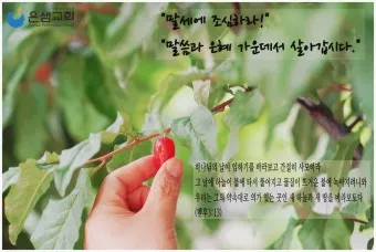 베드로후서 3장 9절 묵상 - 주의 약속은 어떤 이들이 더디다고 생각하는 것 같이 더딘 것이 아니라_28