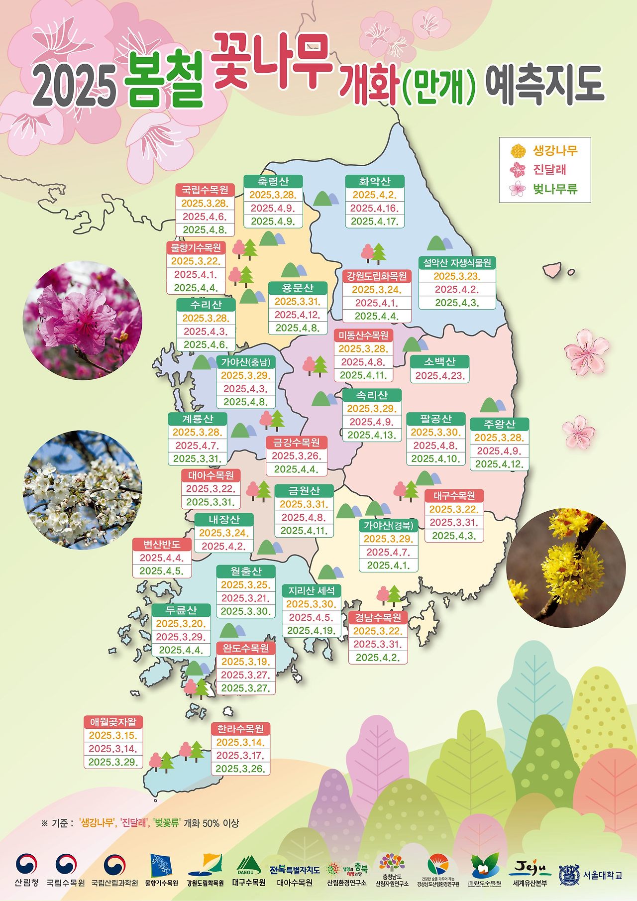 산림청 &lsquo;2025년 봄철 꽃나무 개화 예측지도