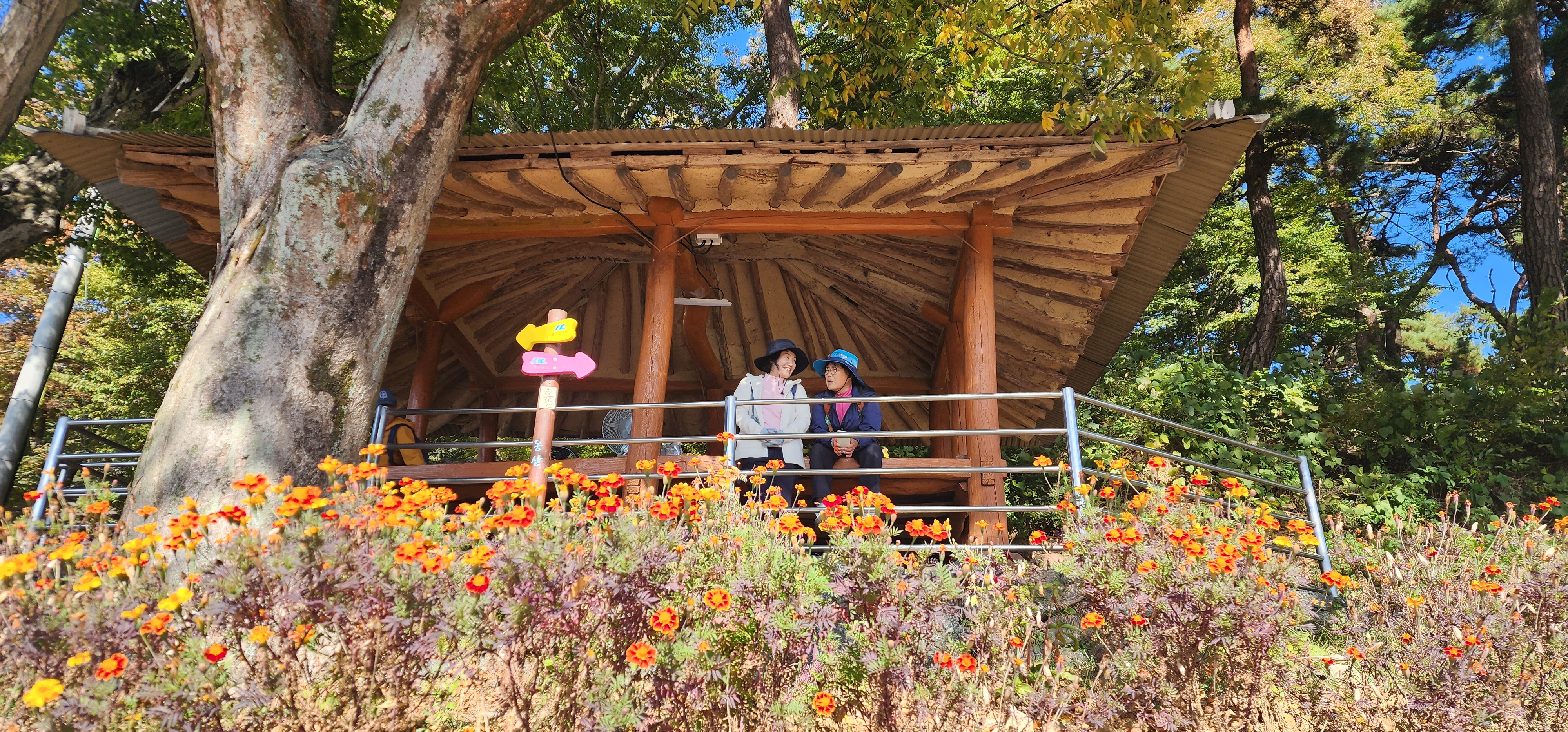 전북 진안 : 진안 고원길 (평균고도 300m, 청정 트레킹 코스)