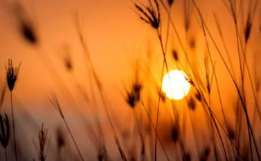 2025년 12월 31일 일몰