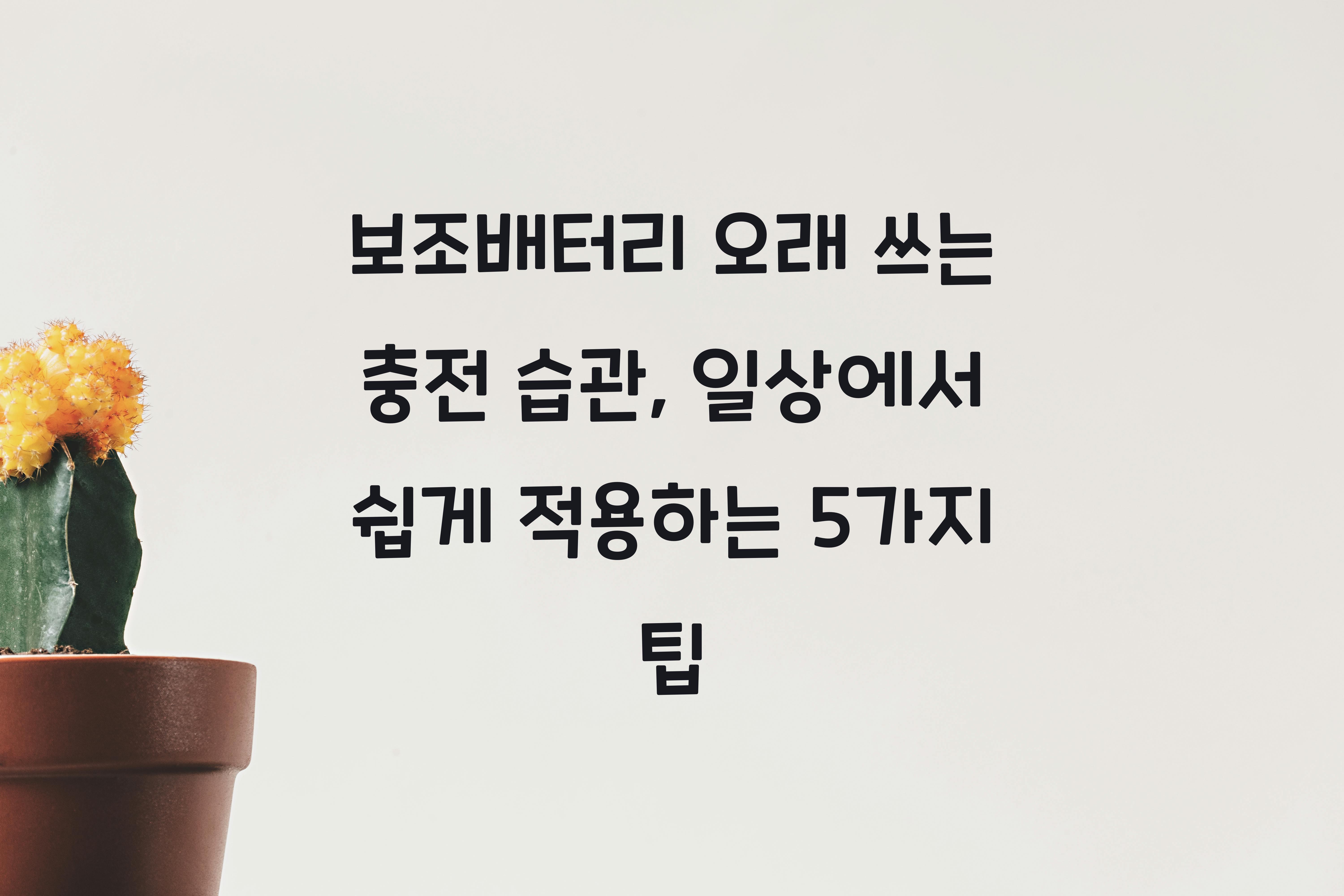 보조배터리 오래 쓰는 충전 습관