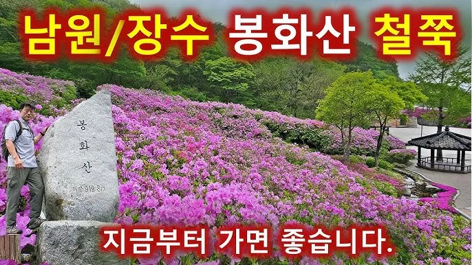 남원 봉화산 철쭉 산행 주차장 등산코스_6