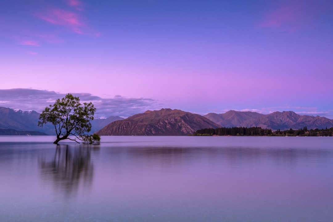 Calm.
