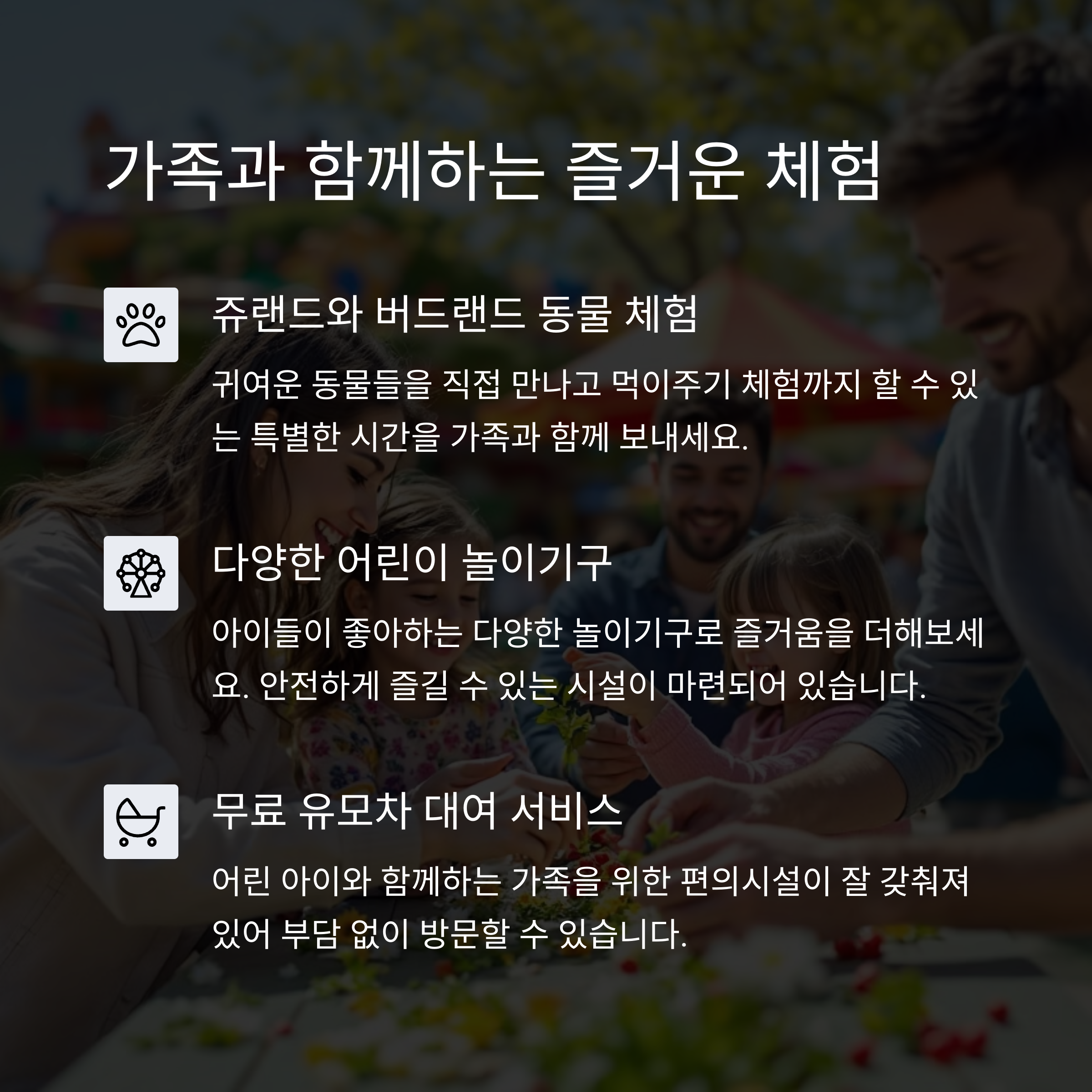 대전오월드 튤립축제 리얼 후기: 아이와 가기 좋은 이유