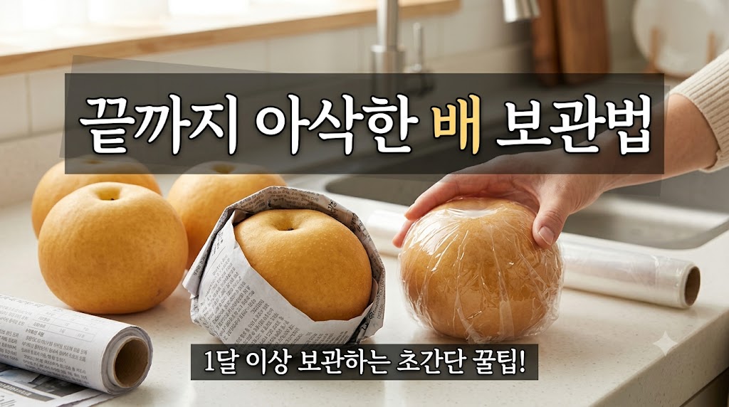 배 보관방법