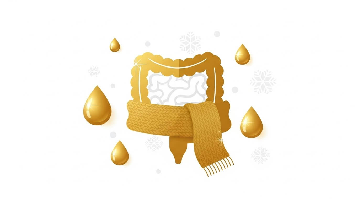 장 건강 챙기는 겨울철 지방식단