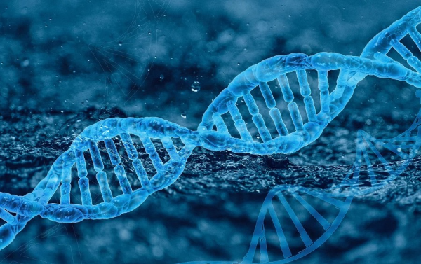 CRISPR 유전자 편집을 활용한 유전병 치료