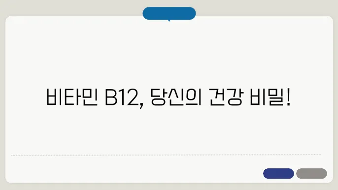비타민b12가 많은 음식