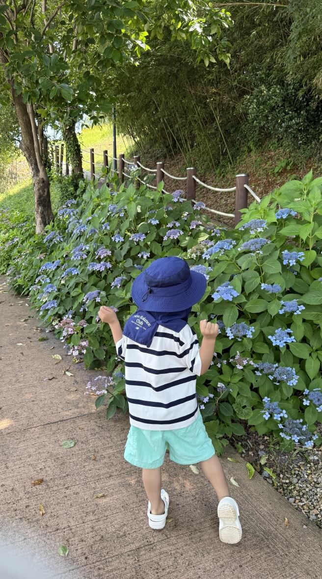 여수해수욕장추천-장도수국길