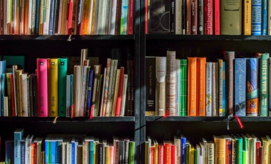 북 큐레이션 북튜버의 직업