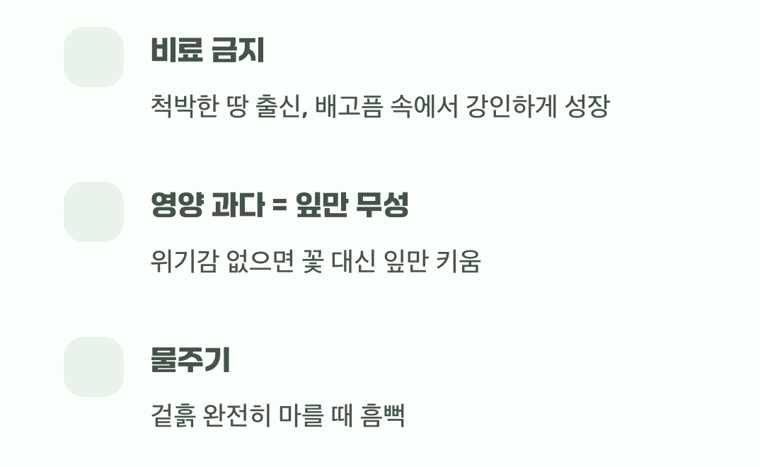 과한 사랑이 독이 되는 이유