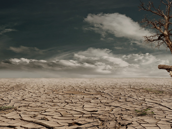 땅이 아프면 농업도 병든다