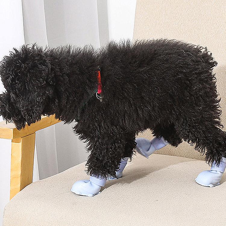 강아지 미끄럼방지 양말 실내 외출 비교 추천