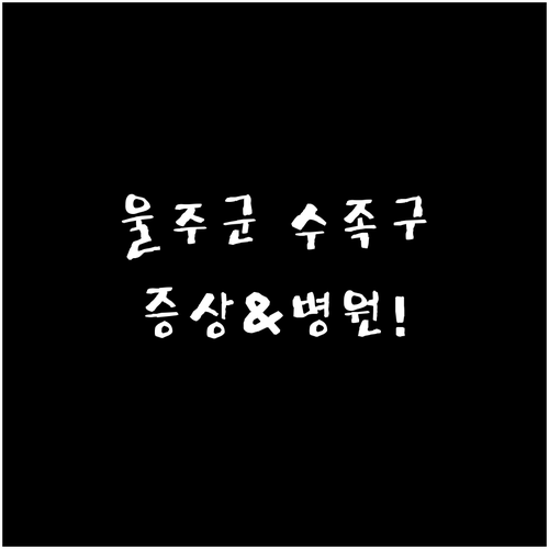 울주군 수족구 병원 정보 및 증상 대..