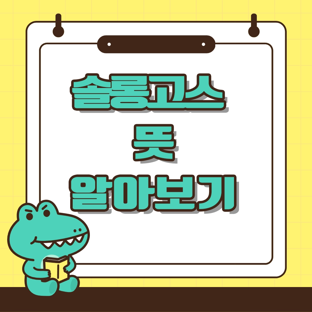 솔롱고스 뜻