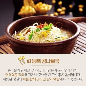 감기에 좋은 음식 5가지 자연에서 찾은 면역력 보약 건강식품_20