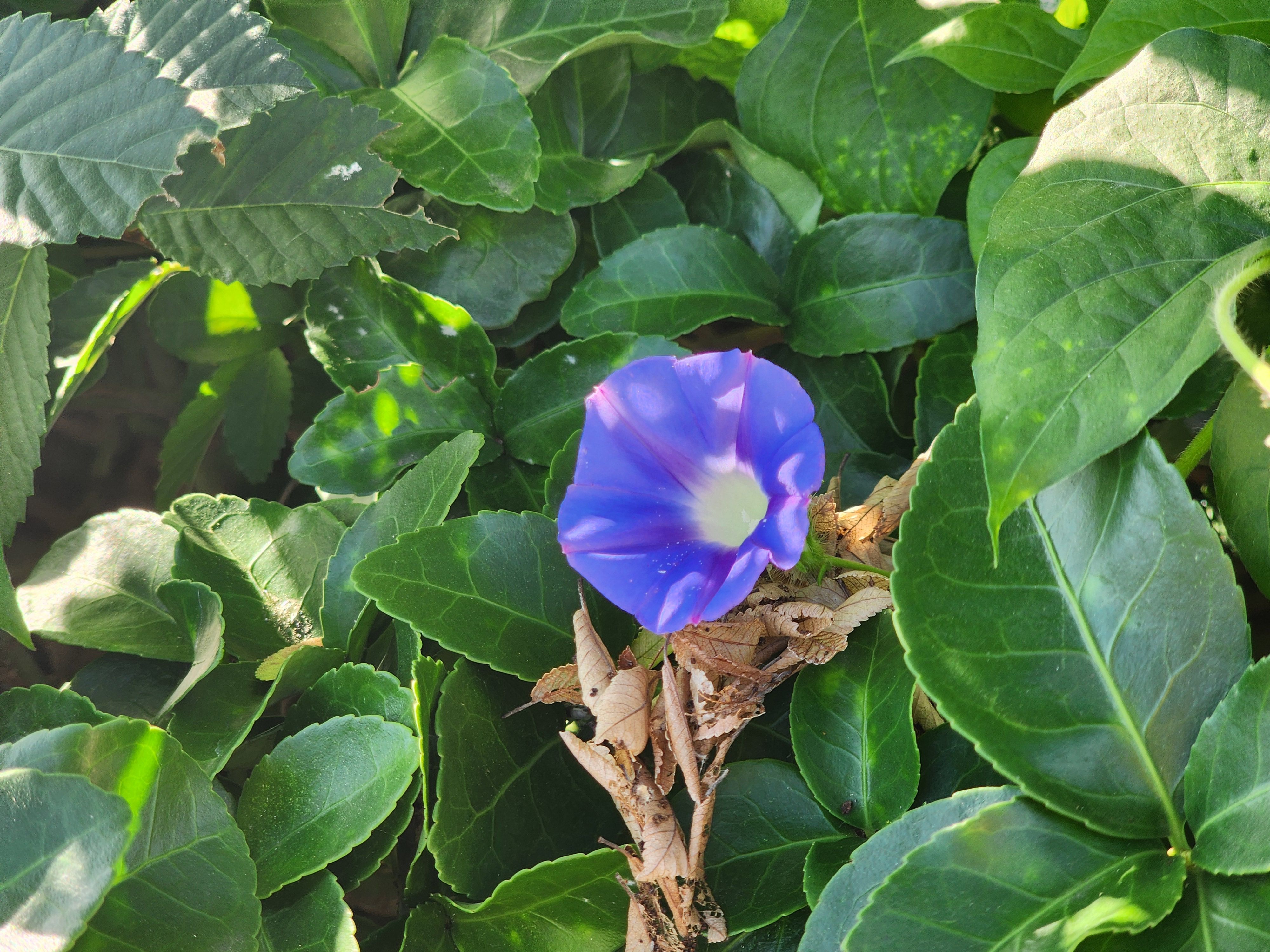 Alt 속성 문제 해결 설명 이미지