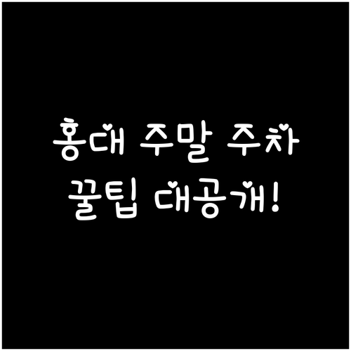홍대 주말 주차 고민 해결하는 추천 ..