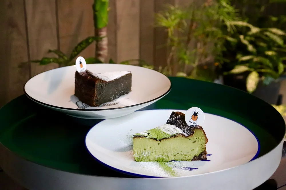 과천 마이알레 카페 맛집 데이트 코스 강아지 동반 체험 프로그램 주차